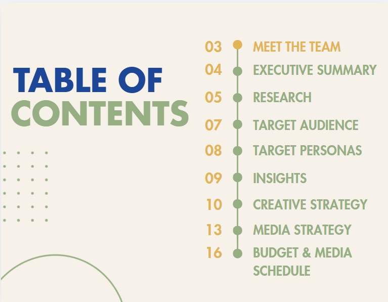 Campaign strategy overview slide